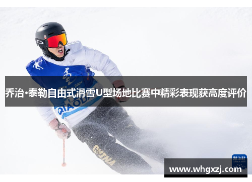 乔治·泰勒自由式滑雪U型场地比赛中精彩表现获高度评价