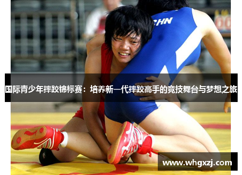 国际青少年摔跤锦标赛：培养新一代摔跤高手的竞技舞台与梦想之旅