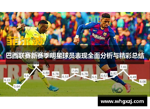巴西联赛新赛季明星球员表现全面分析与精彩总结