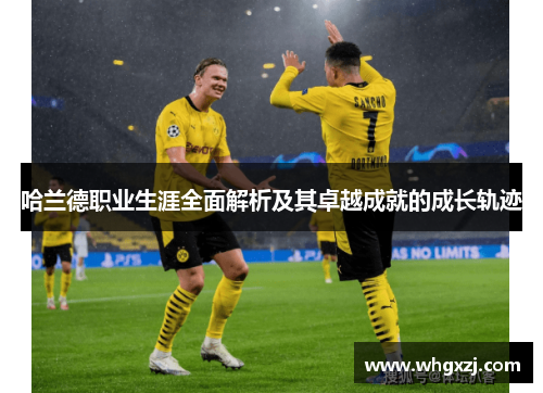 哈兰德职业生涯全面解析及其卓越成就的成长轨迹