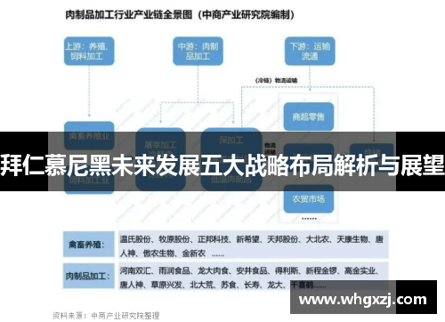 拜仁慕尼黑未来发展五大战略布局解析与展望