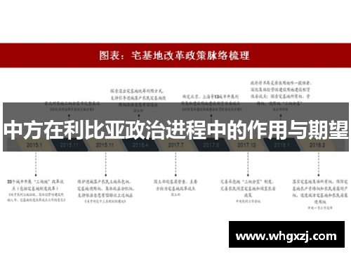 中方在利比亚政治进程中的作用与期望