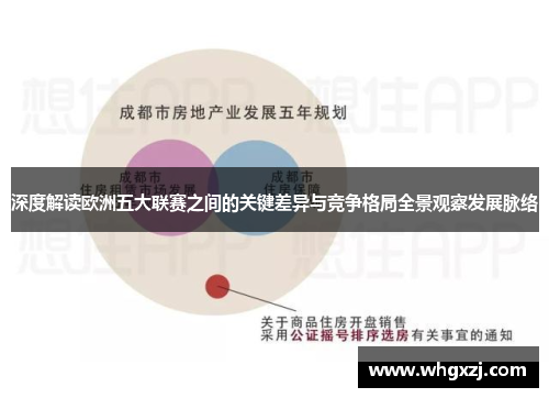 深度解读欧洲五大联赛之间的关键差异与竞争格局全景观察发展脉络